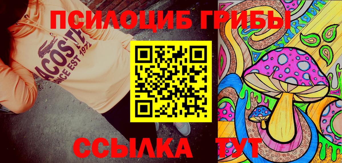 Псилоцибиновые грибы мицелий Ртищево